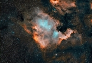 NGC7000 - North American Nebula