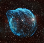 SH2-308 - Dolphin Head Nebula