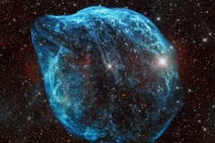 SH2-308 - Dolphin Head Nebula